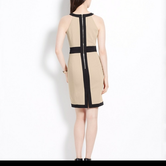 Ann Taylor Color Block Sheath Dress - Picture 3 of 5